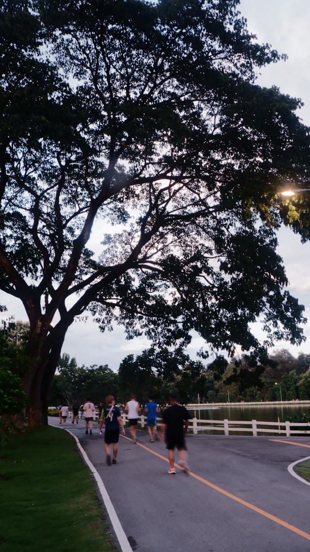 Innovation recherche